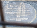 Elfin Oak - Milligan, Spike - Prince Charles (id=6058)